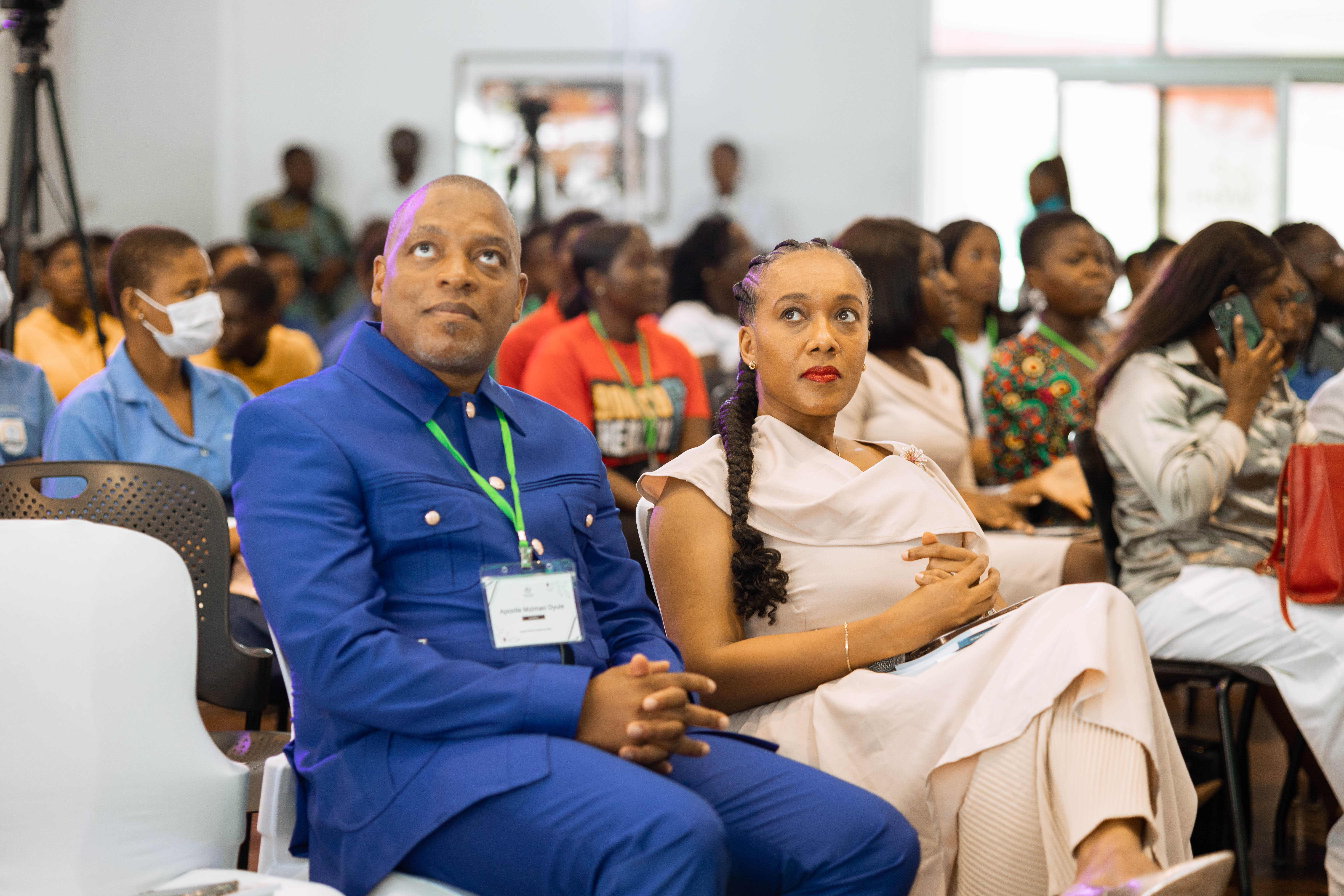 A visual representation of the mentorship program